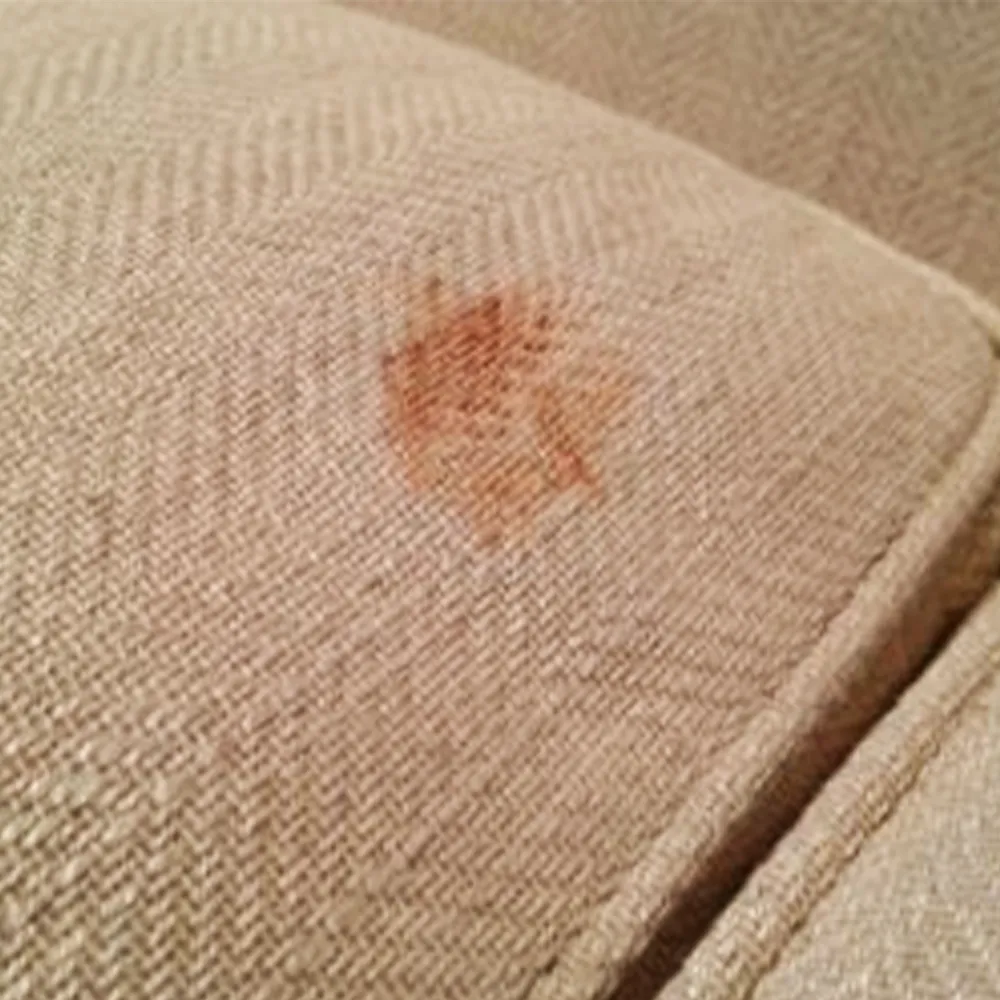 Stains  2